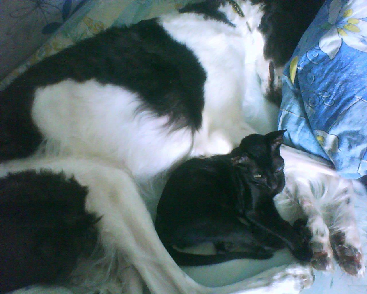 DSC00265.JPG