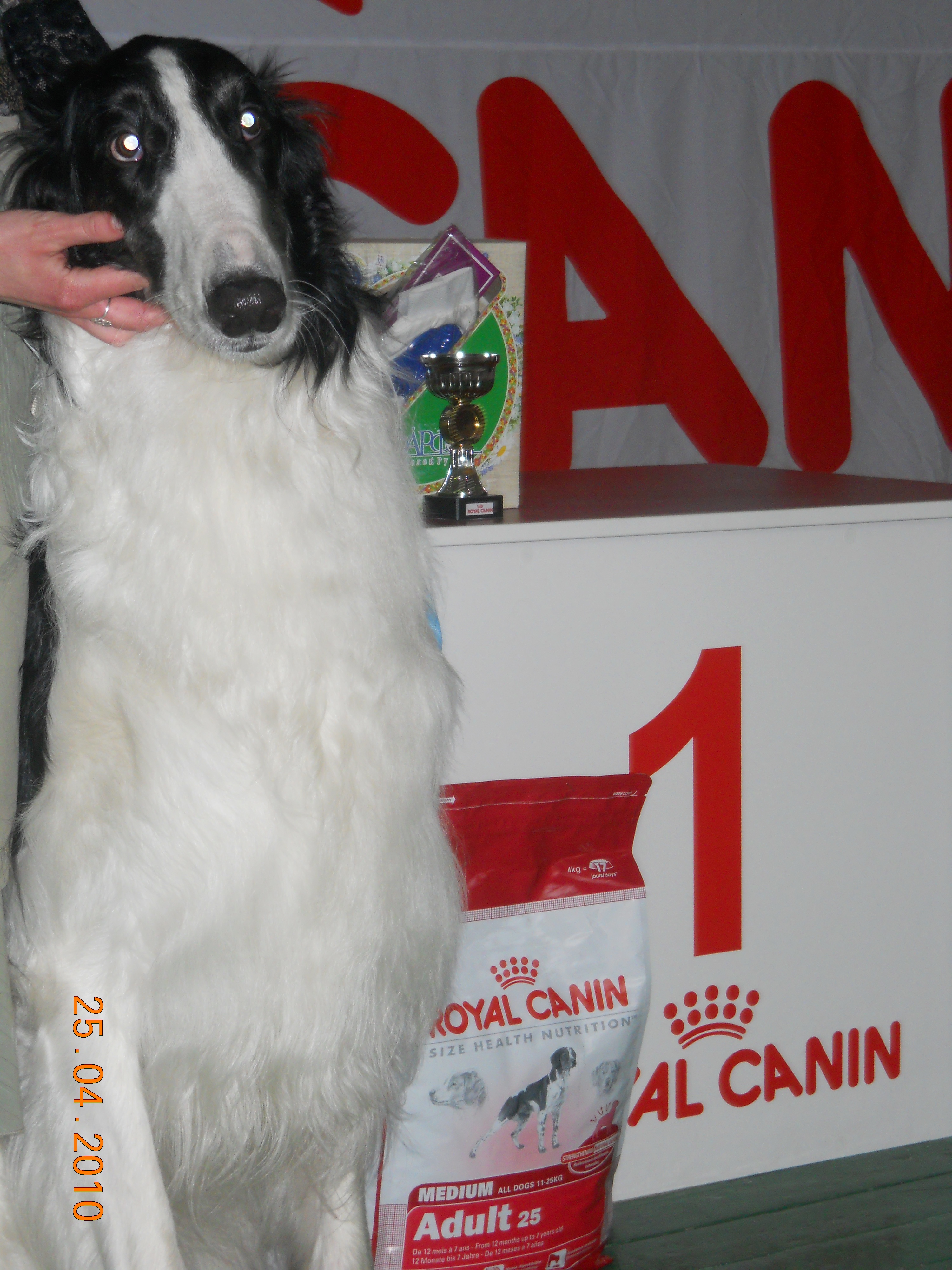 DSCN0147.jpg