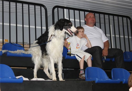 f5823d3a5b5f.jpg