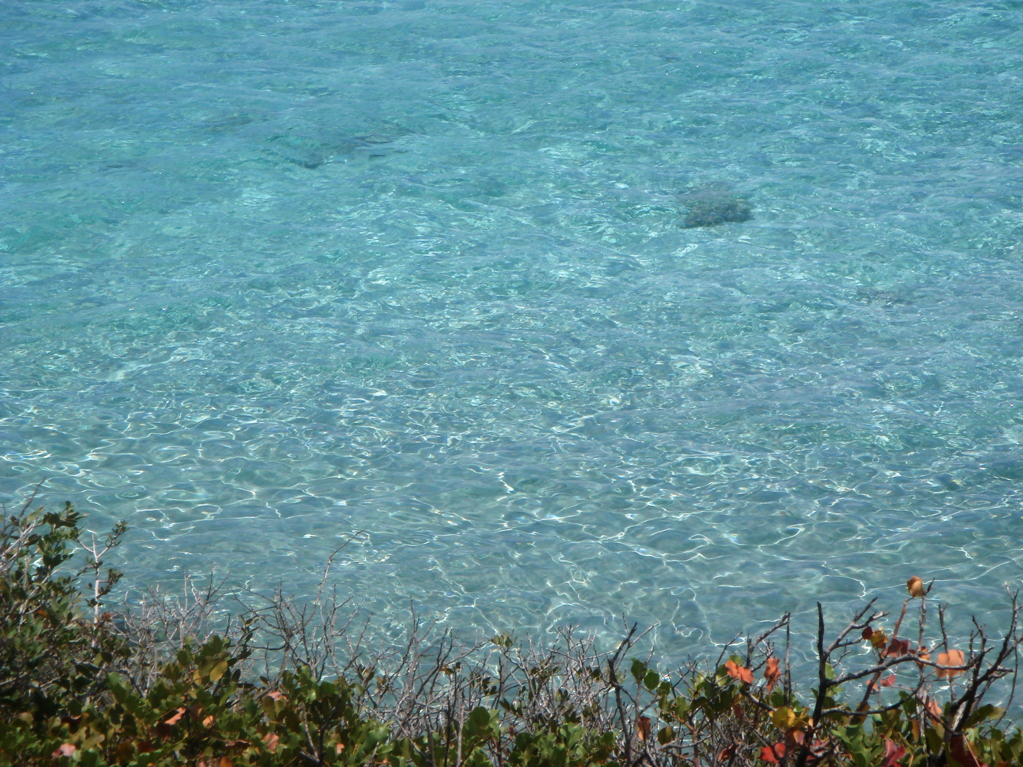 DSC00525.JPG