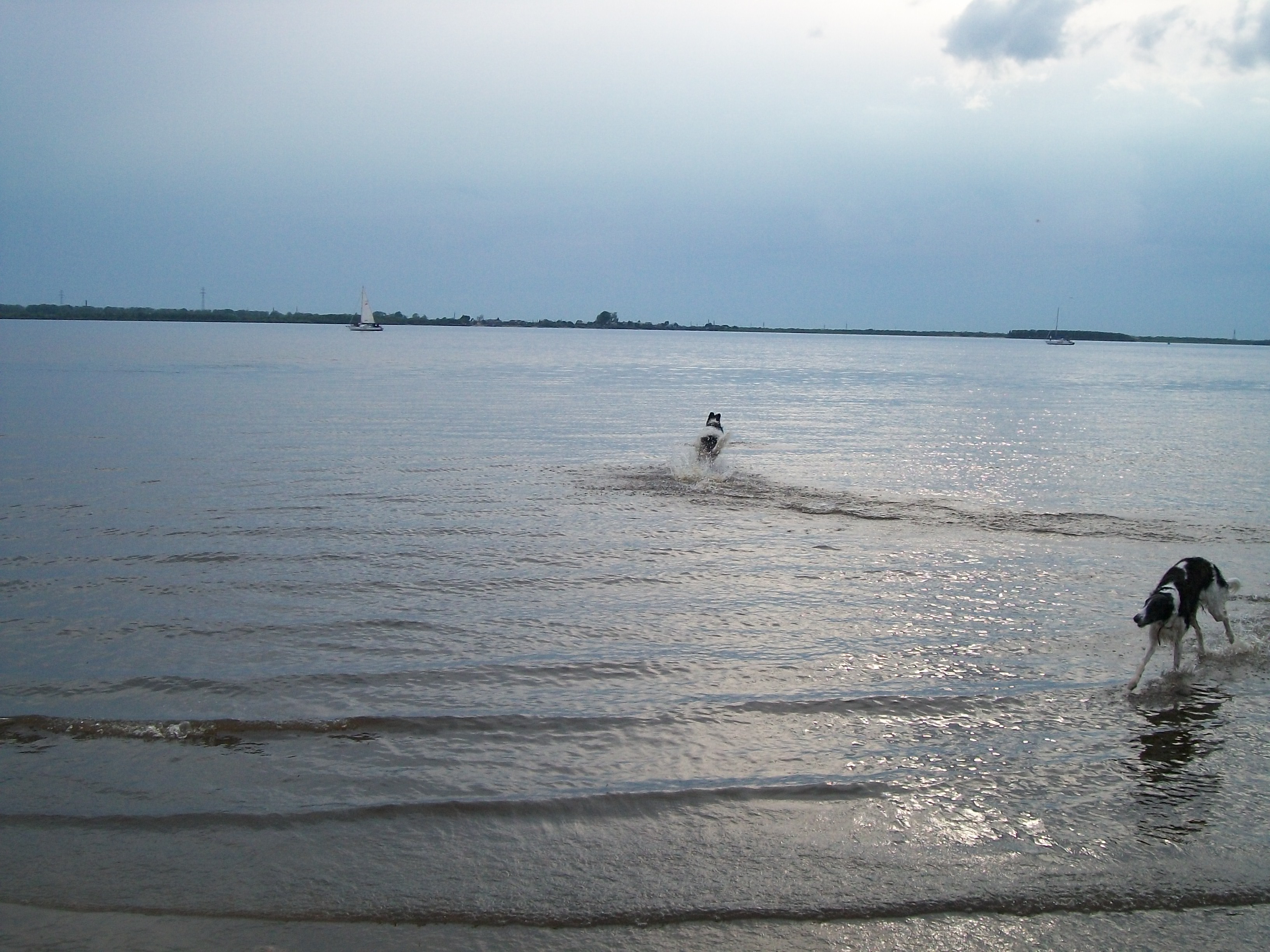 100_1205.jpg
