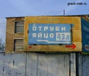 236.jpg