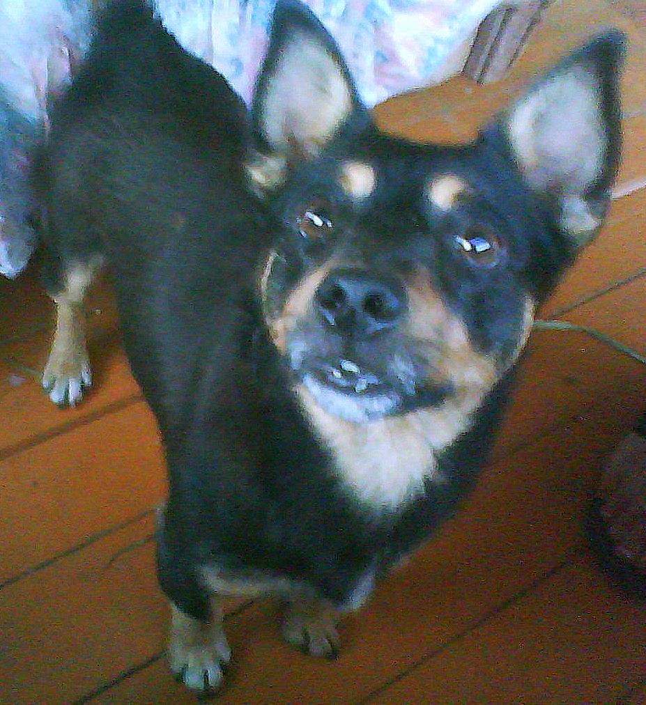DSC05481.JPG