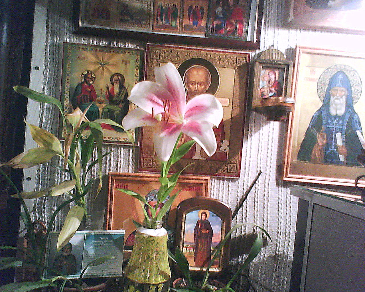 DSC05489.JPG