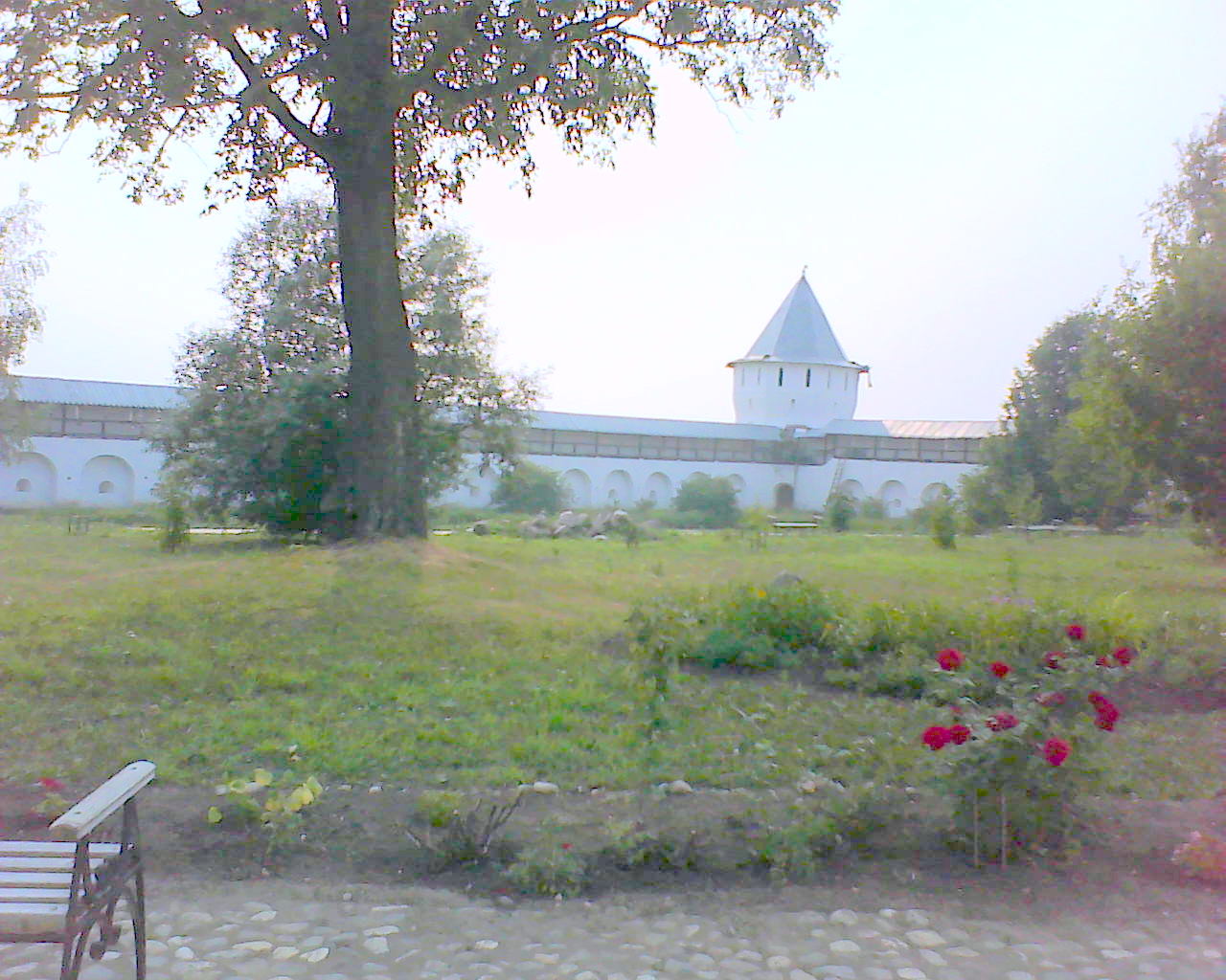 DSC05527.JPG
