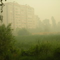 DSCN3138.JPG