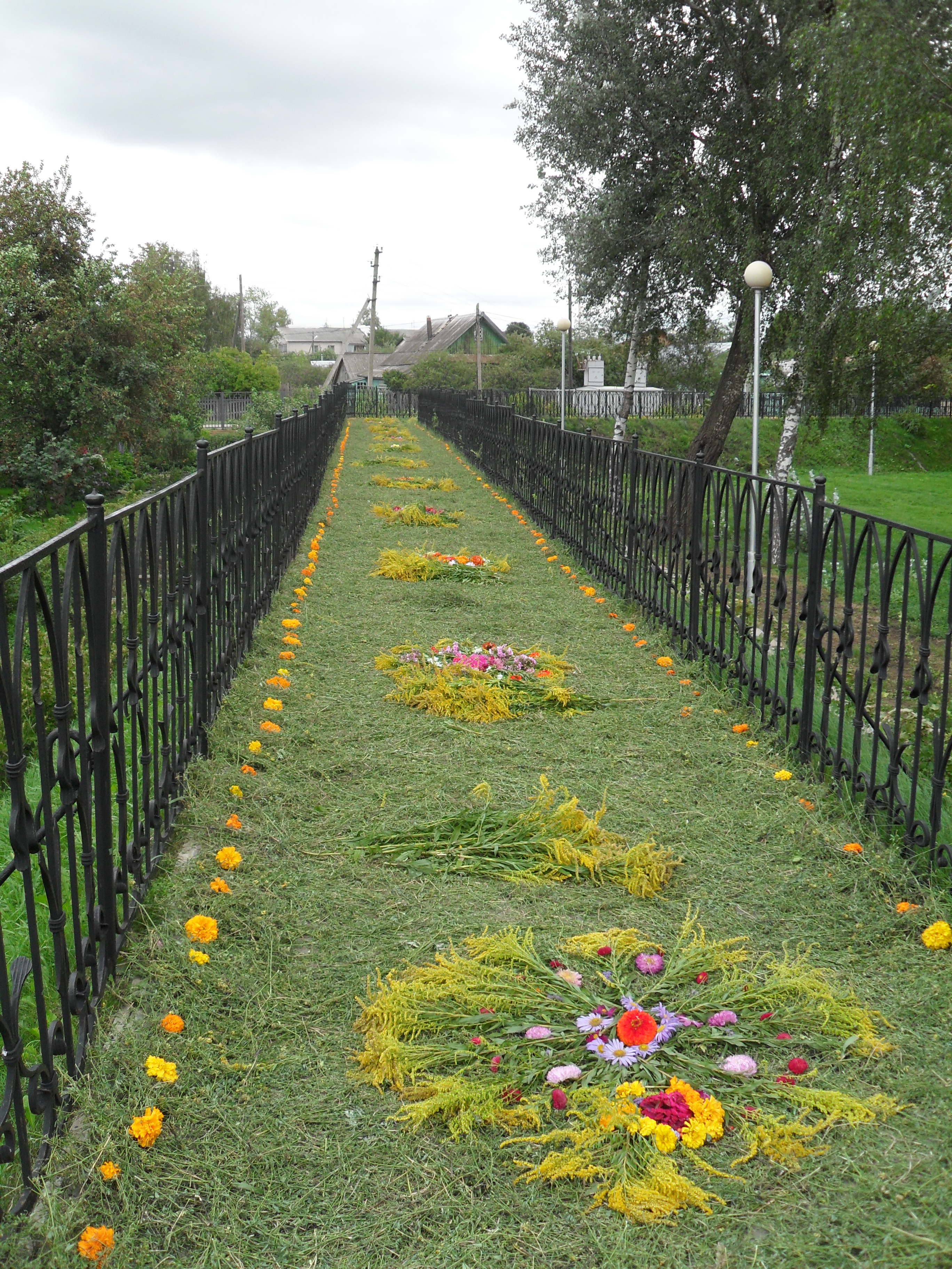 SDC11425.JPG