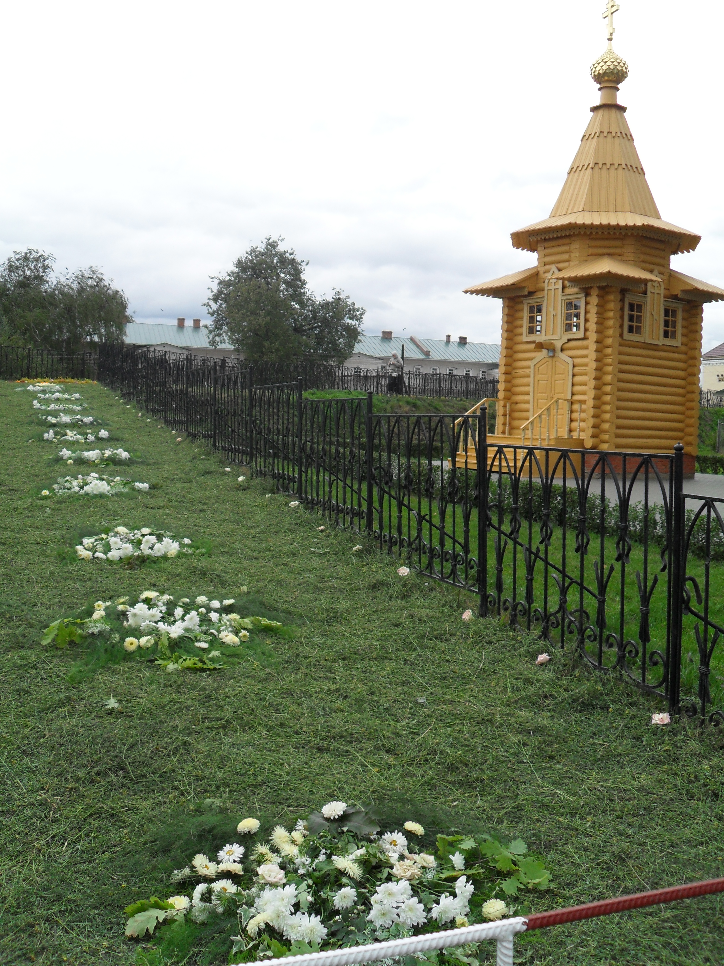 SDC11478.JPG