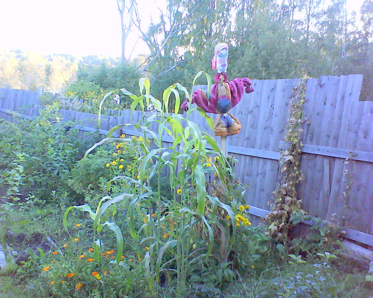 DSC05638.JPG