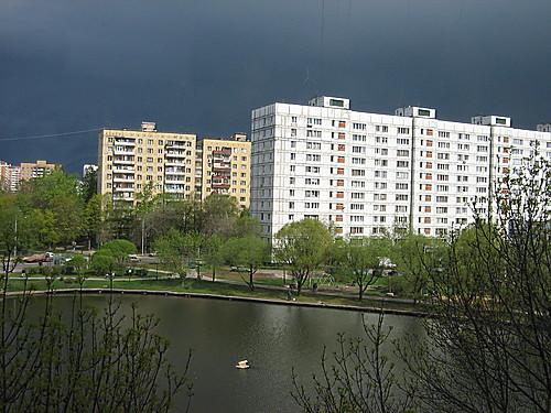 2599834_1_.jpg
