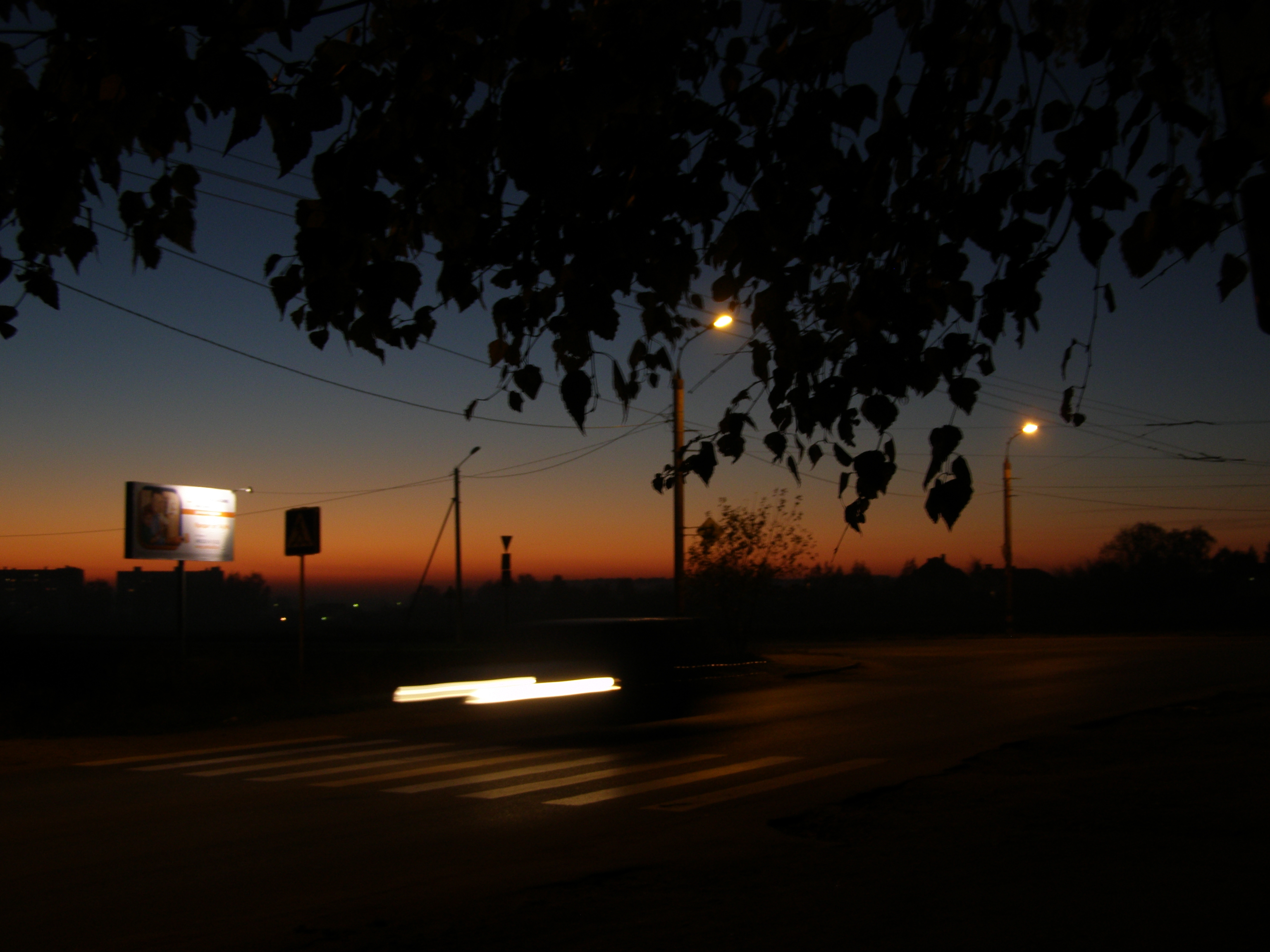 PA090186.JPG