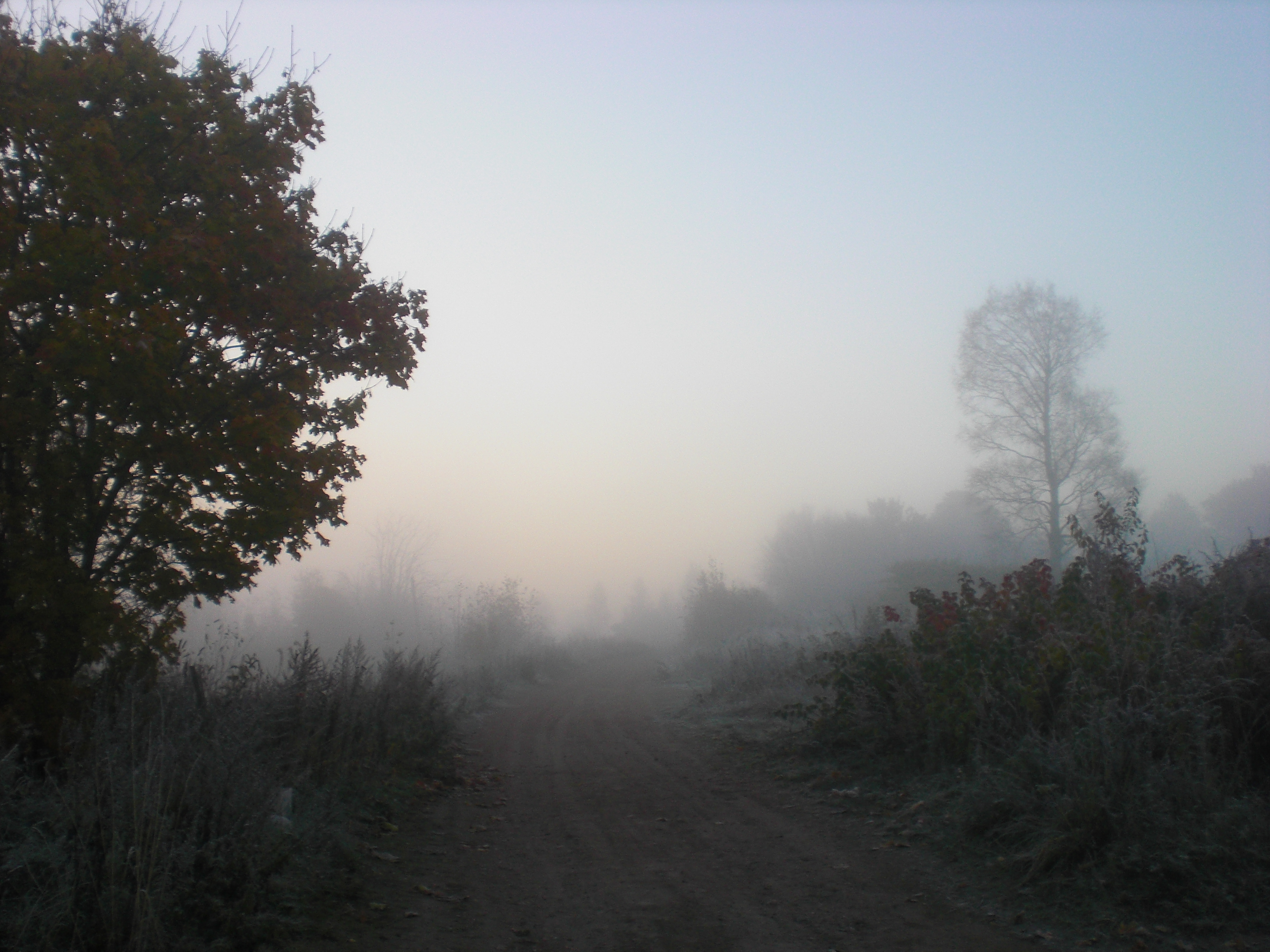 CIMG0347.JPG