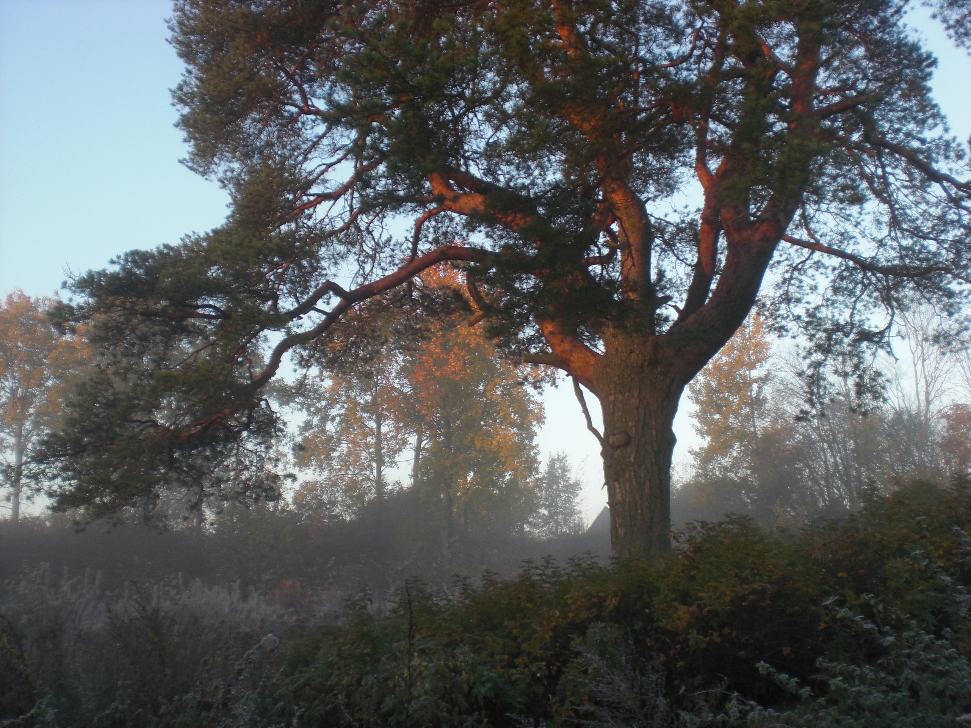 CIMG0367.JPG
