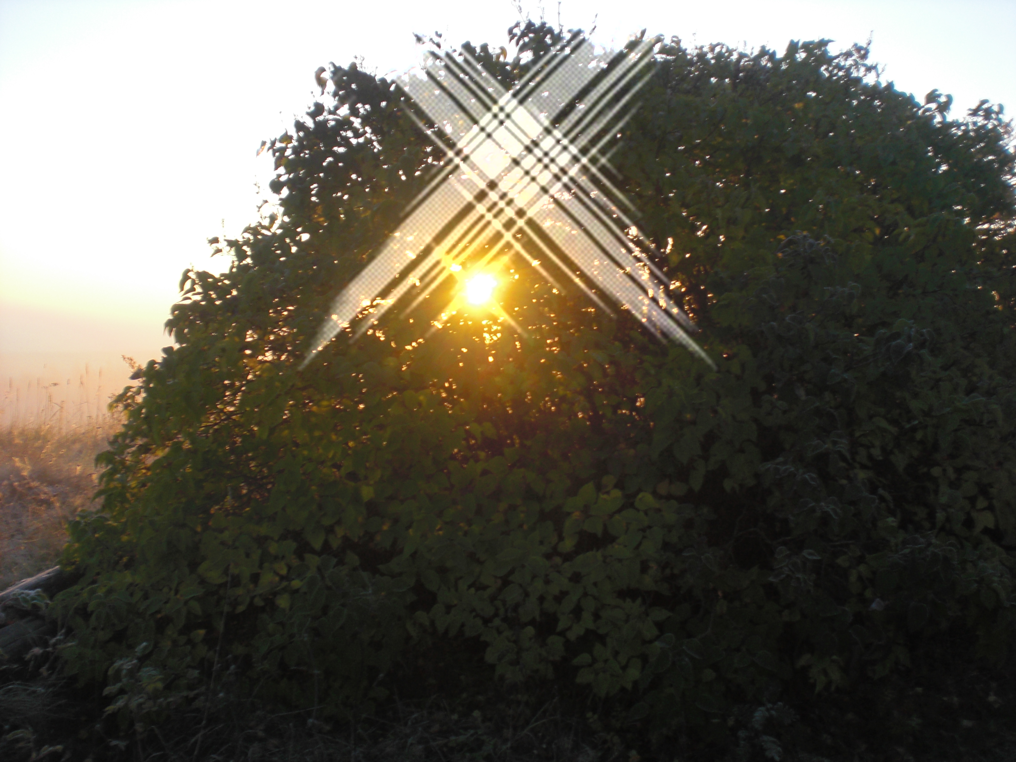 CIMG0370.JPG