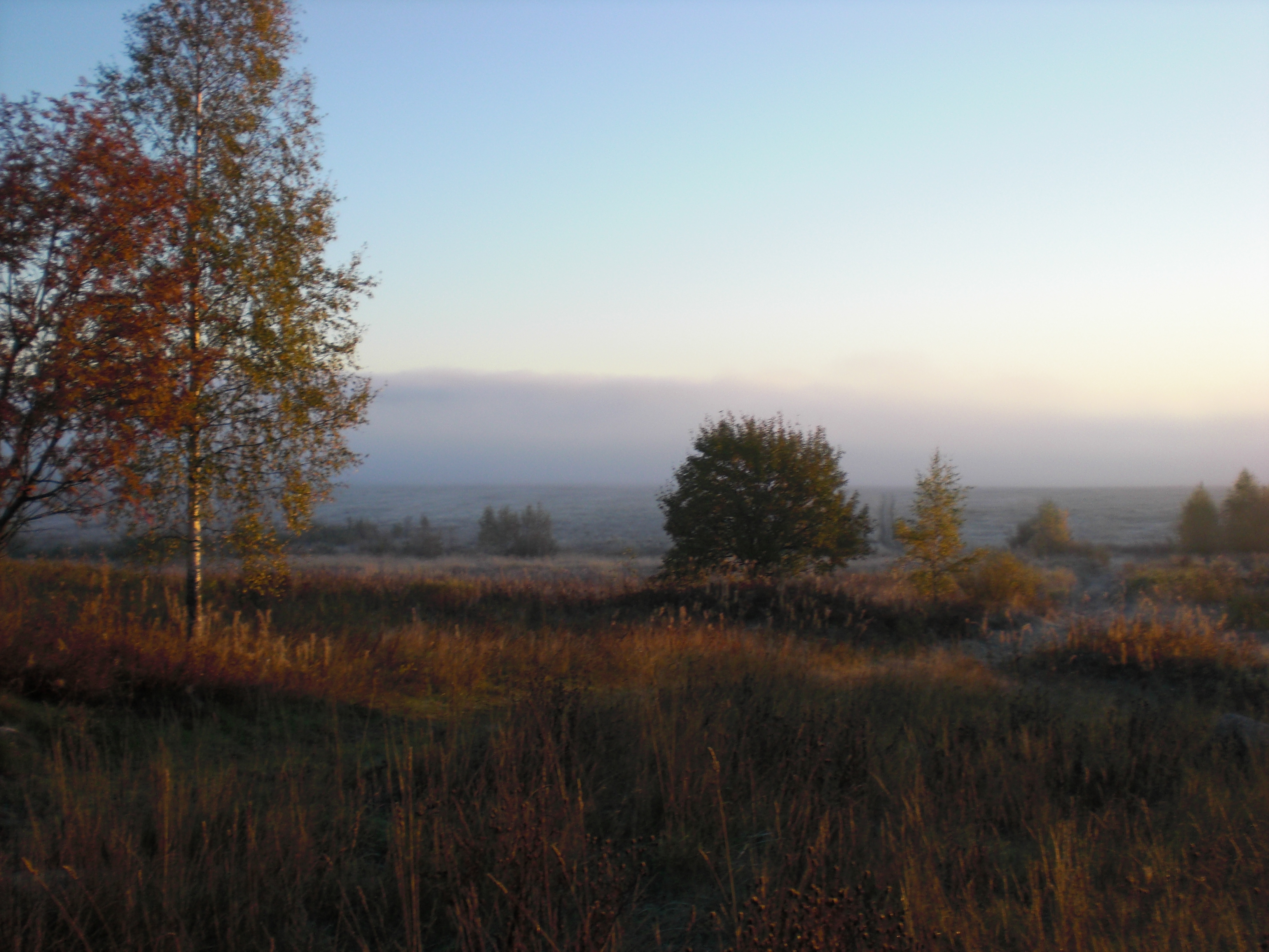 CIMG0384.JPG
