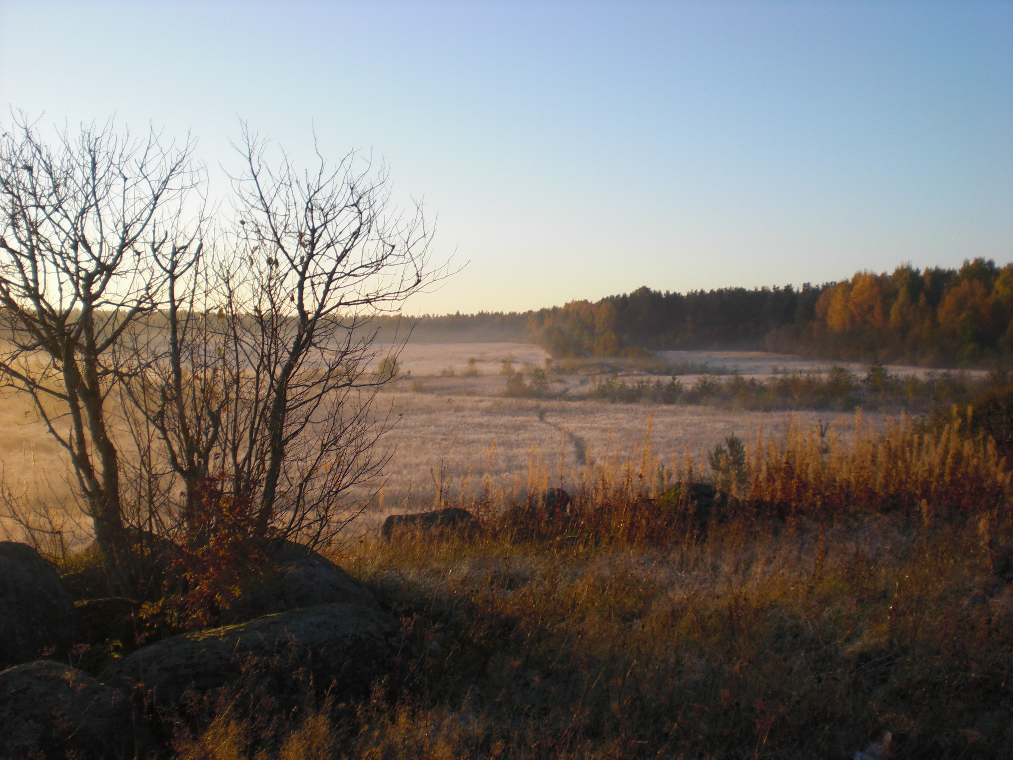 CIMG0402.JPG
