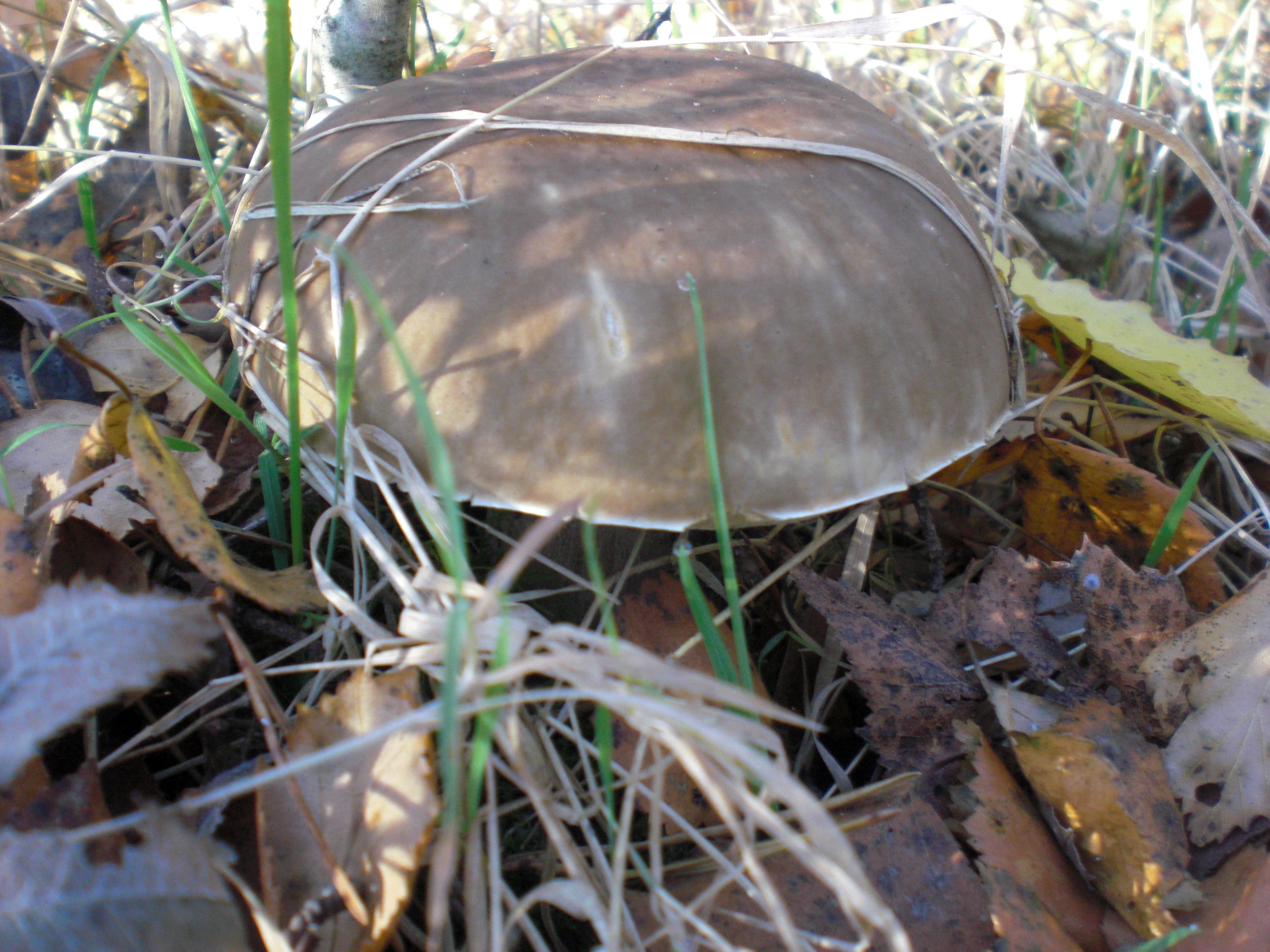CIMG0428.JPG