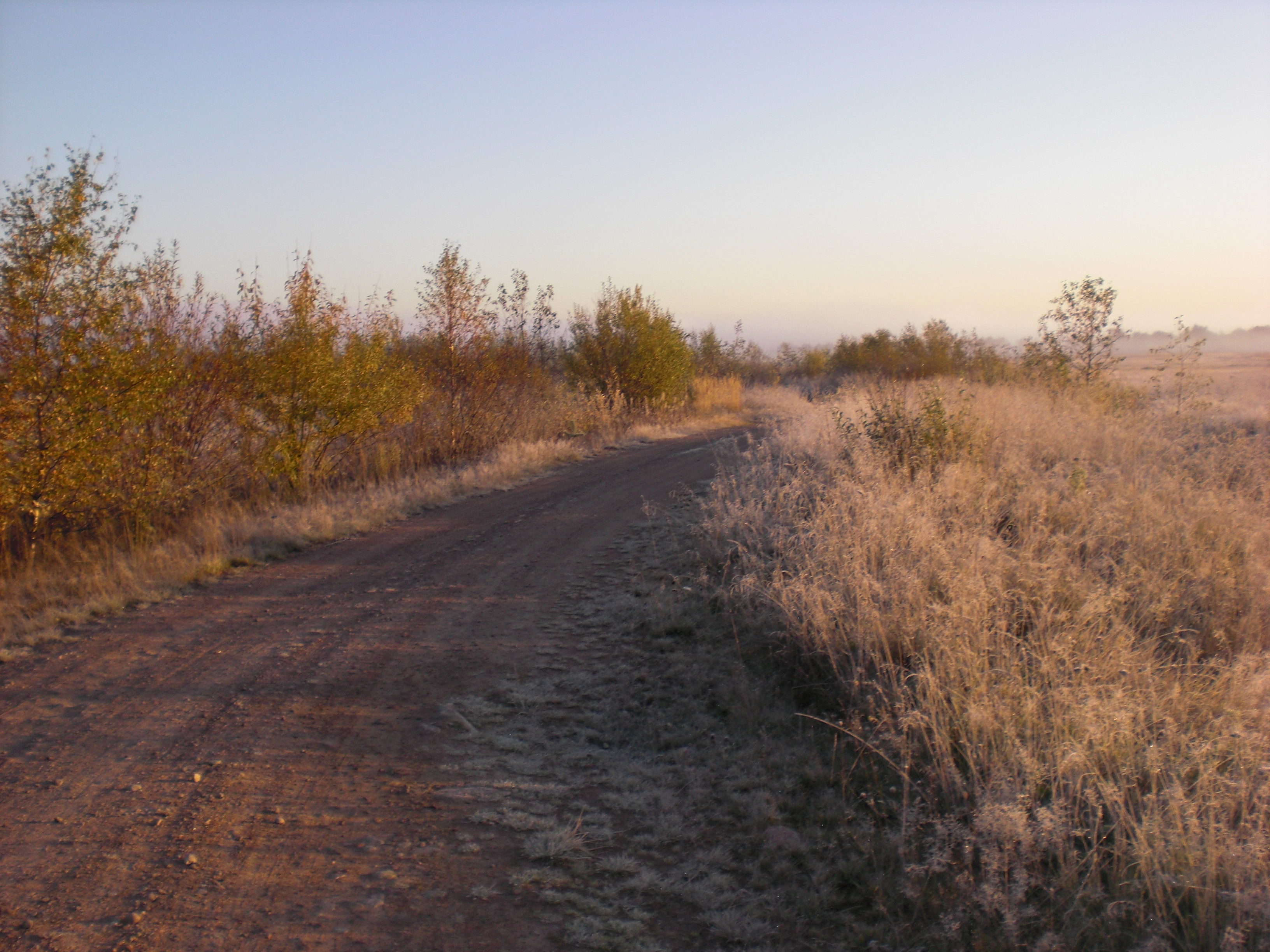 CIMG0422.JPG