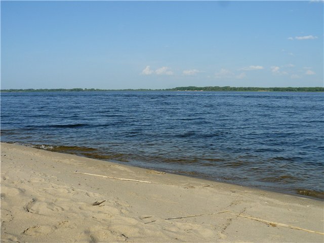 4253.jpg