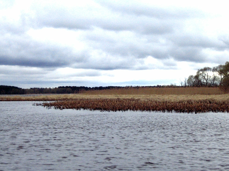 0_185_89767884_XL.jpg