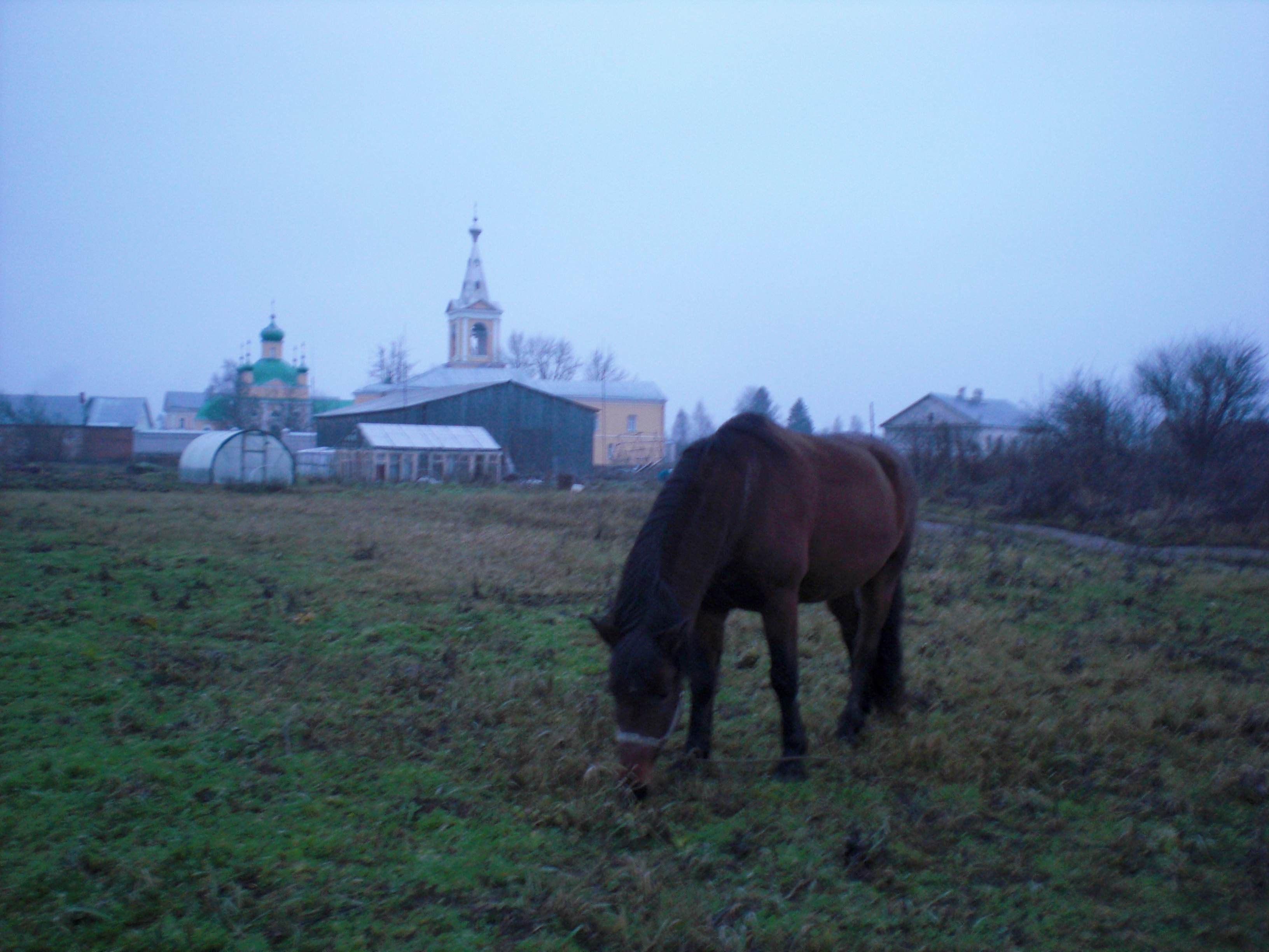 CIMG0175.JPG