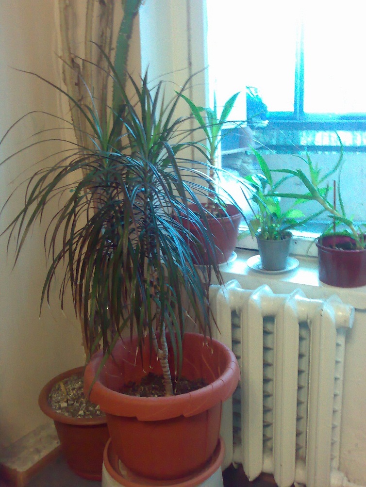 13112010455.jpg