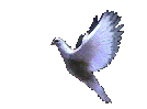 0_4558b_a832c24f_S.gif