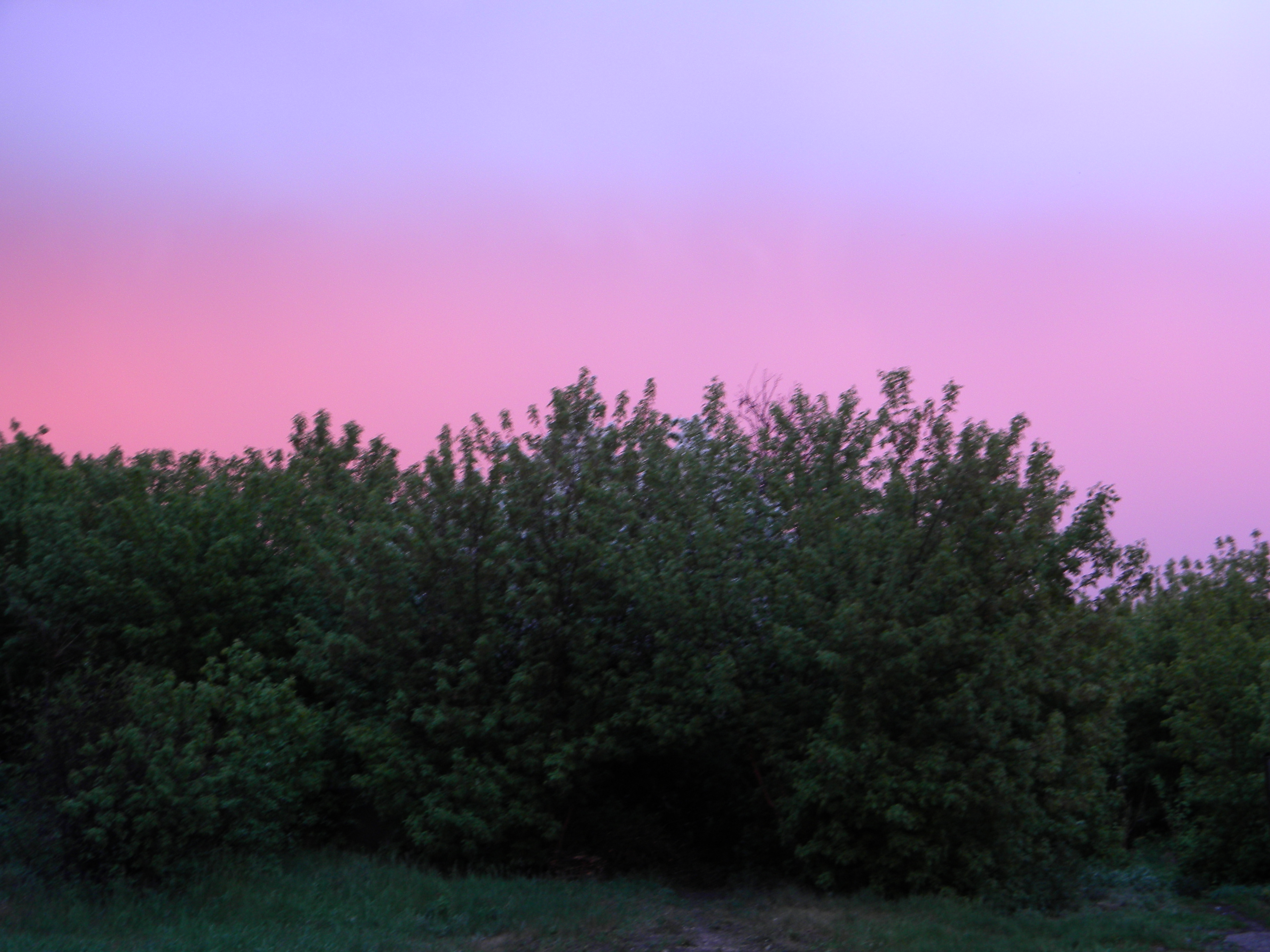 DSCN0241.jpg