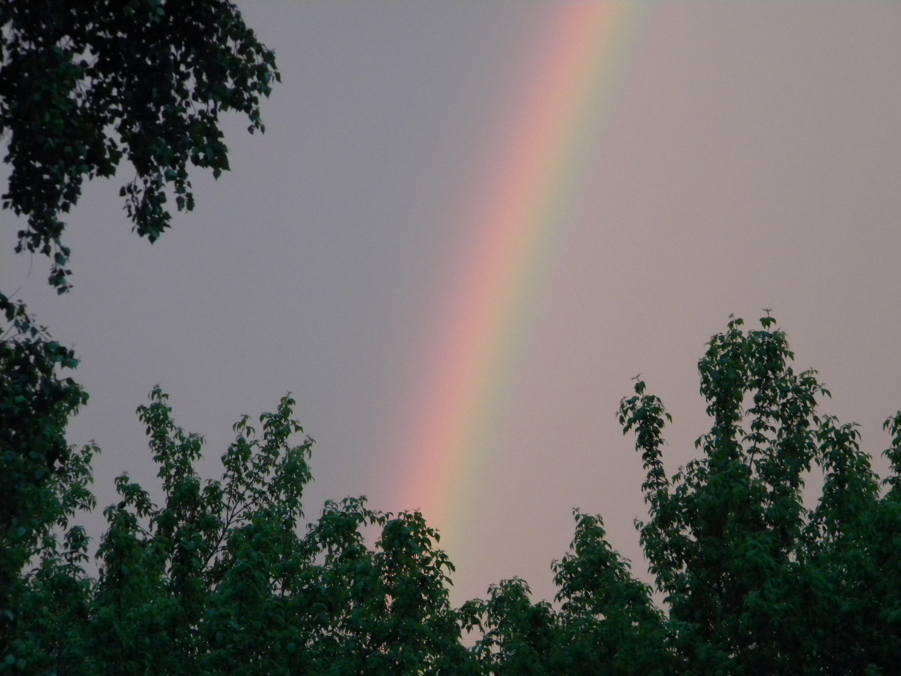 DSCN0236.jpg