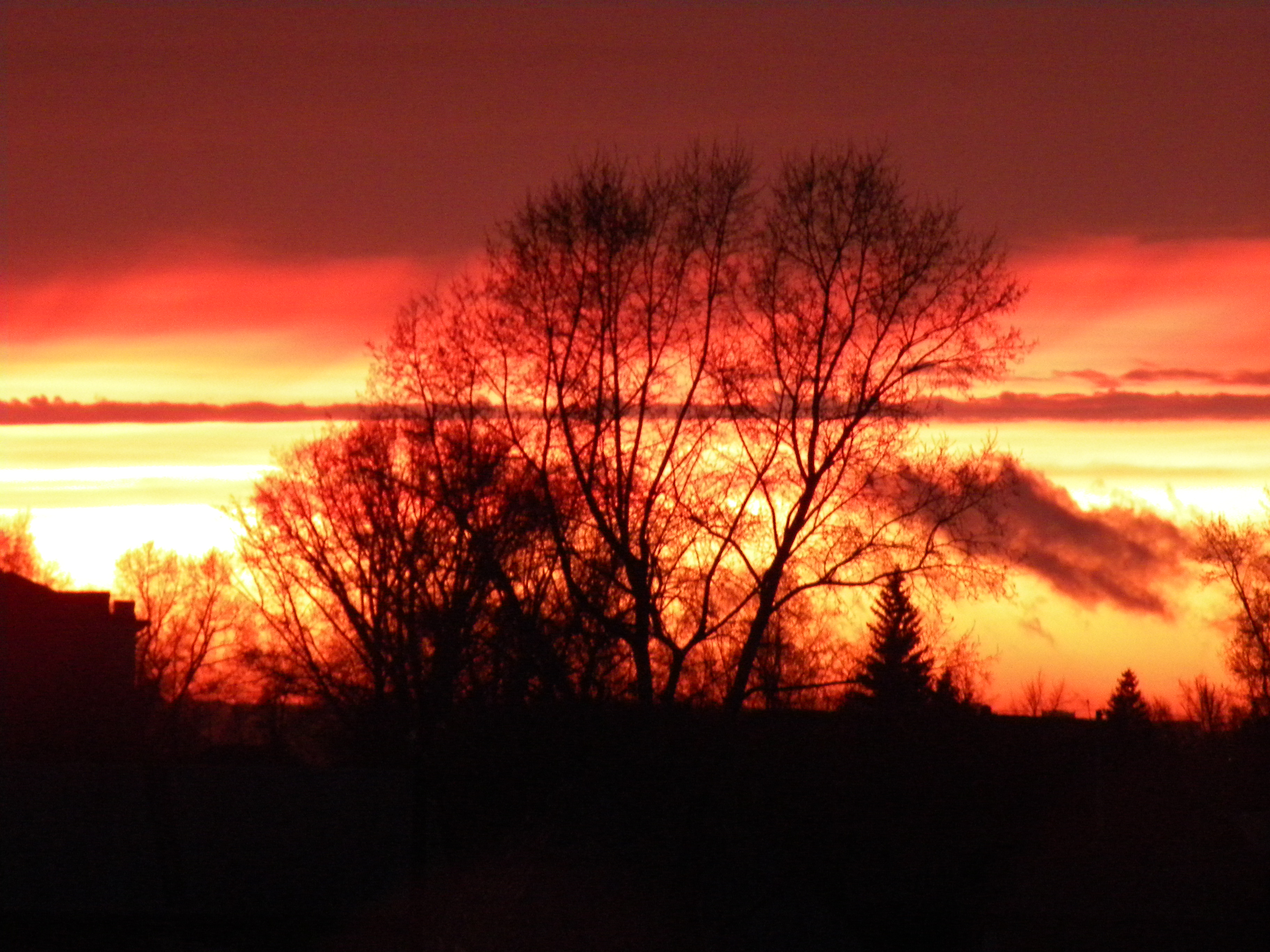 DSCN0229.jpg