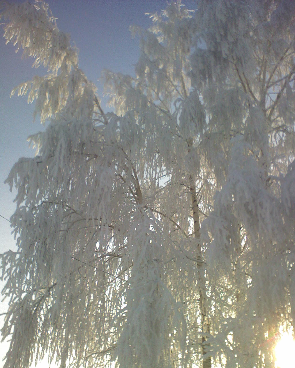 DSC00123.JPG