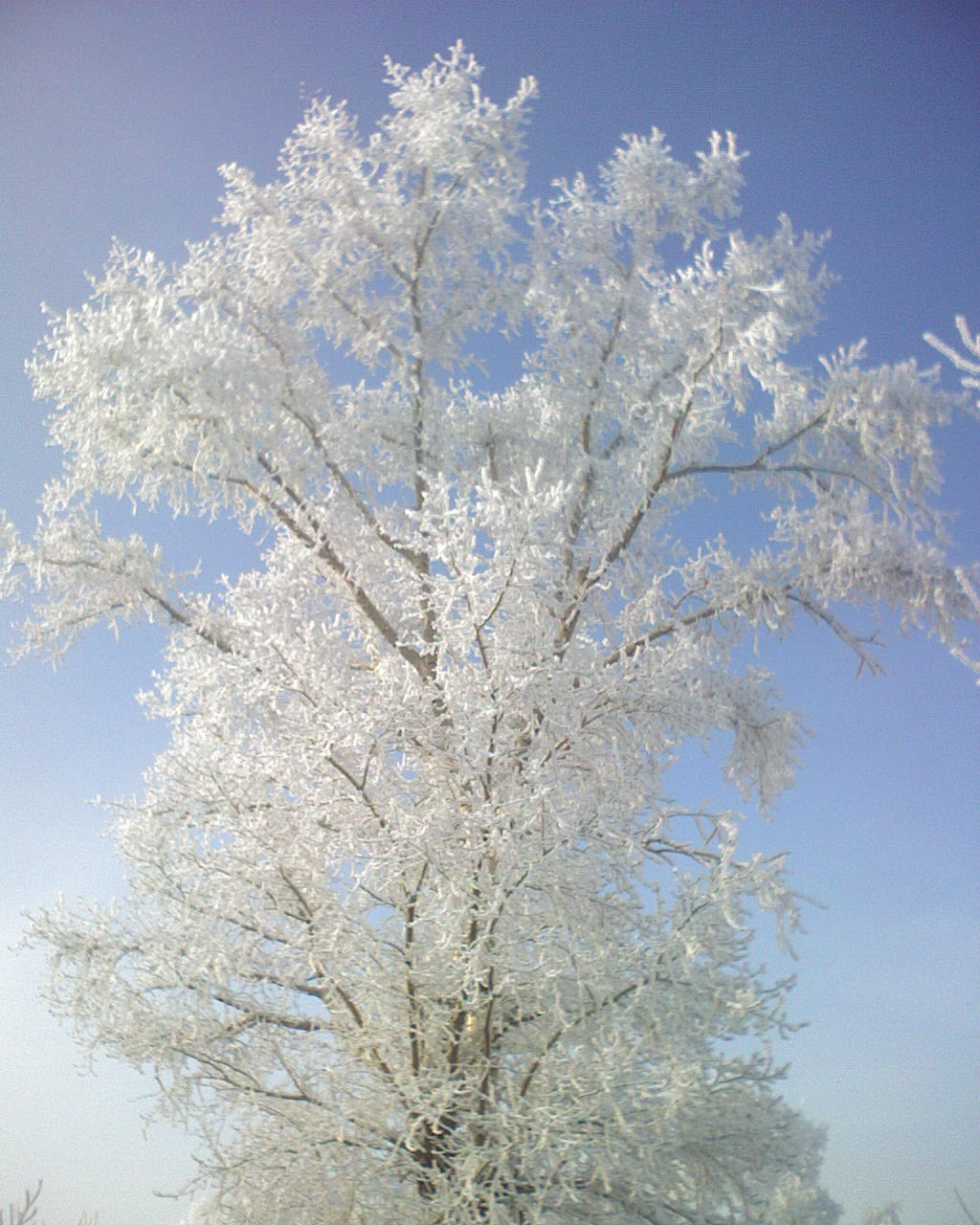 DSC00104.JPG