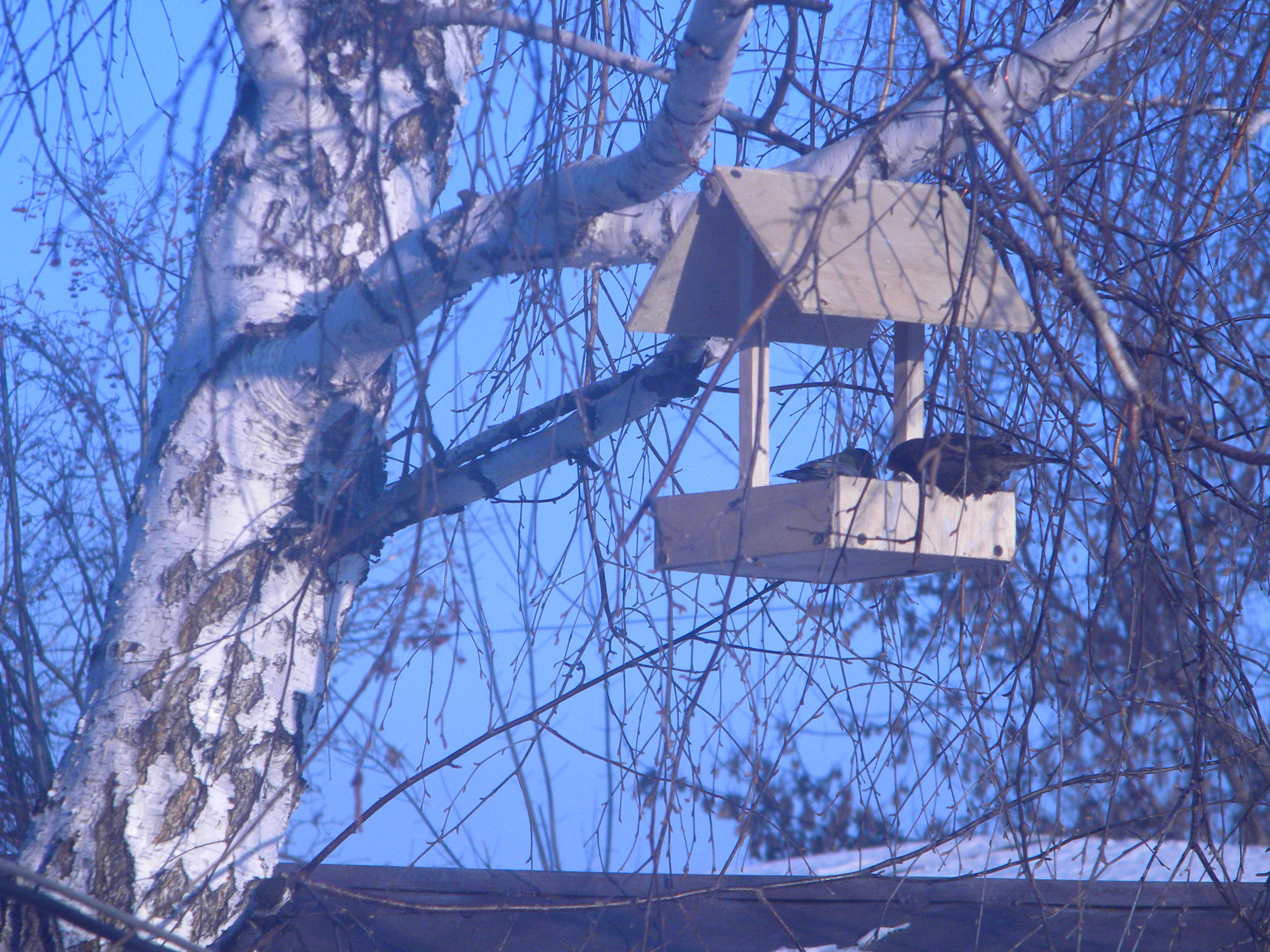 ____________010.jpg