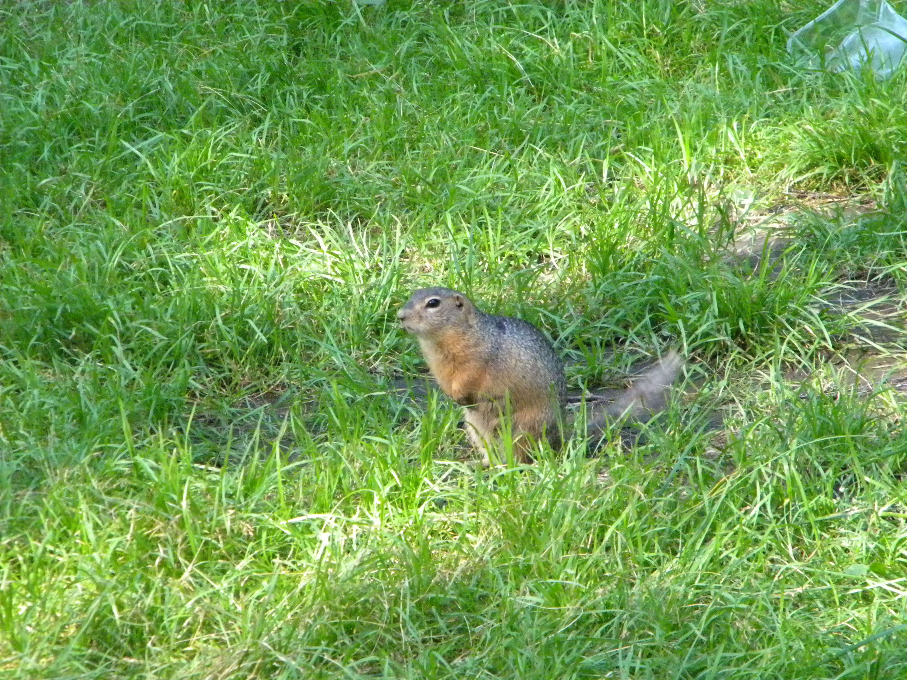 DSCN0306.jpg