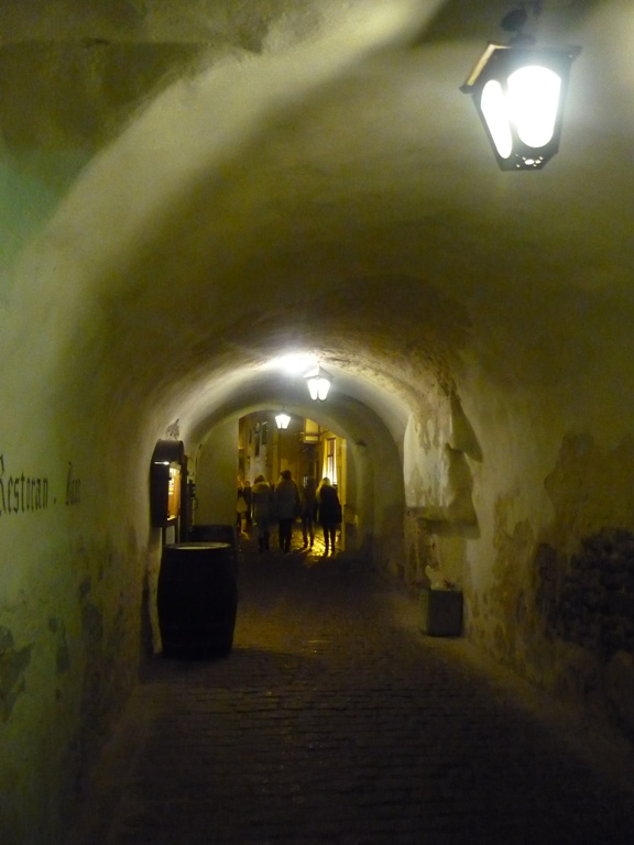 P1050057.JPG