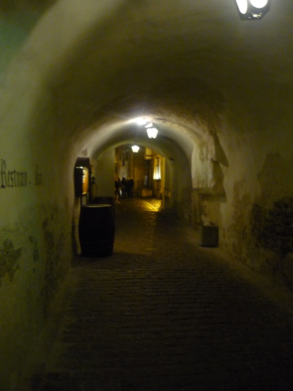 P1050055.JPG