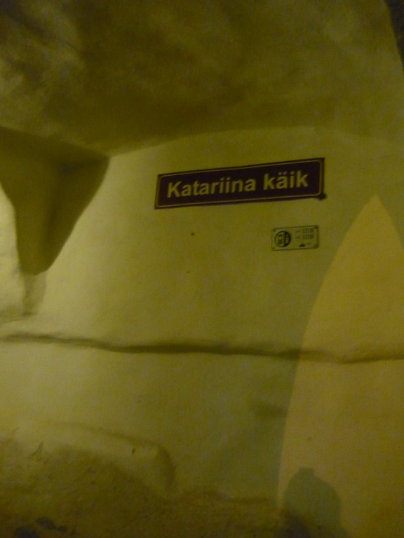 P1050054.JPG
