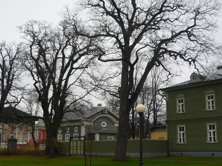P1050076.JPG