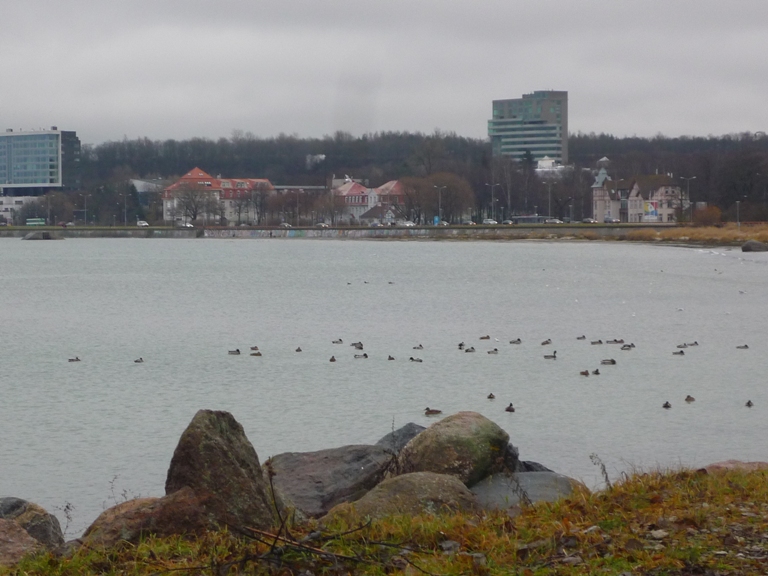 P1050100.JPG