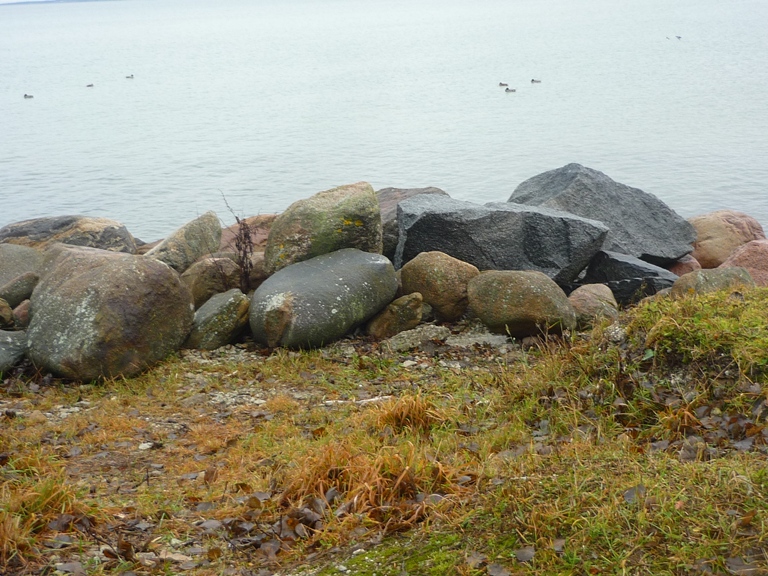 P1050101.JPG