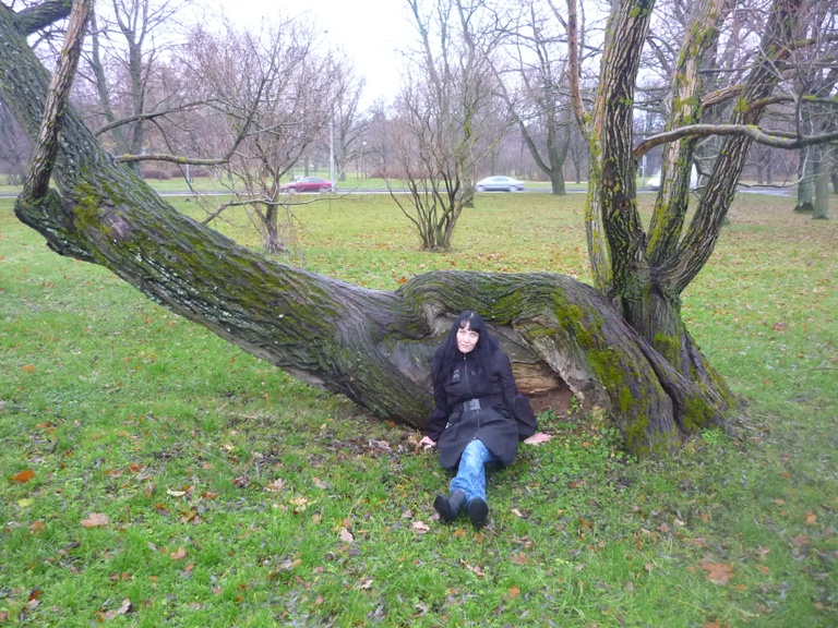 P1050108.JPG