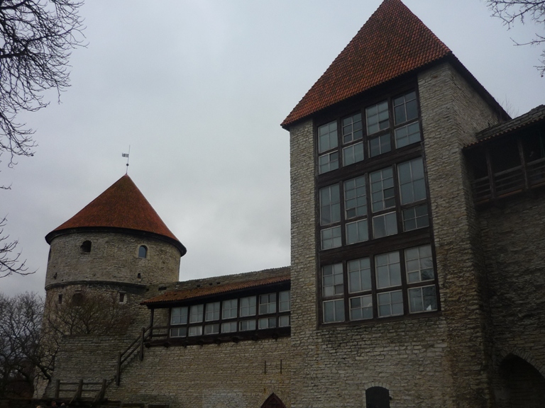 P1050148.JPG