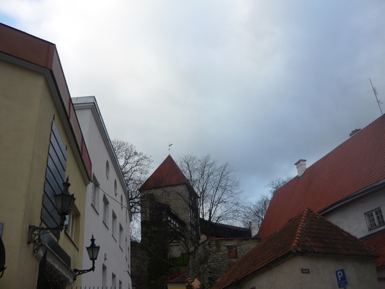 P1050124.JPG