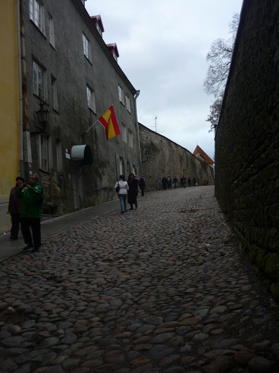 P1050137.JPG