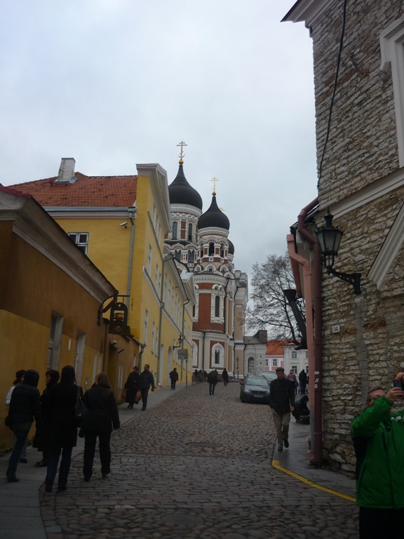 P1050139.JPG