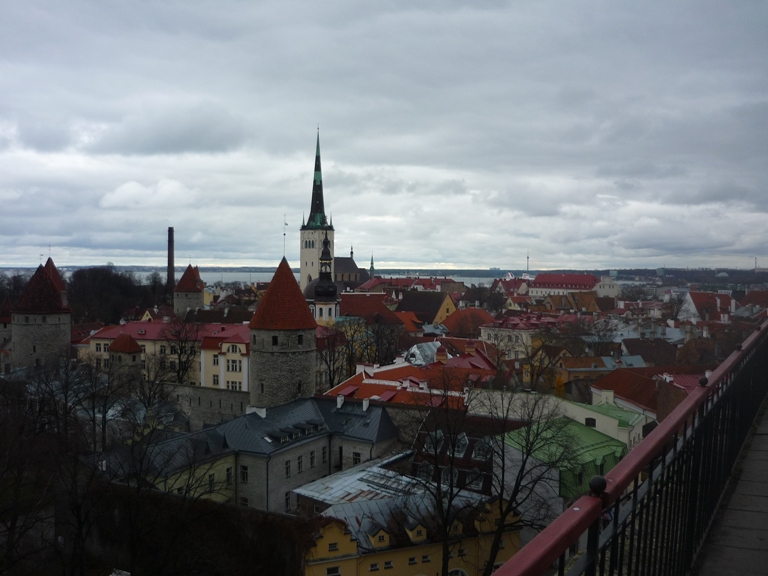 P1050185.JPG
