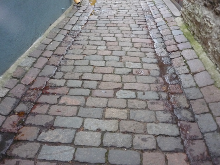 P1050186.JPG