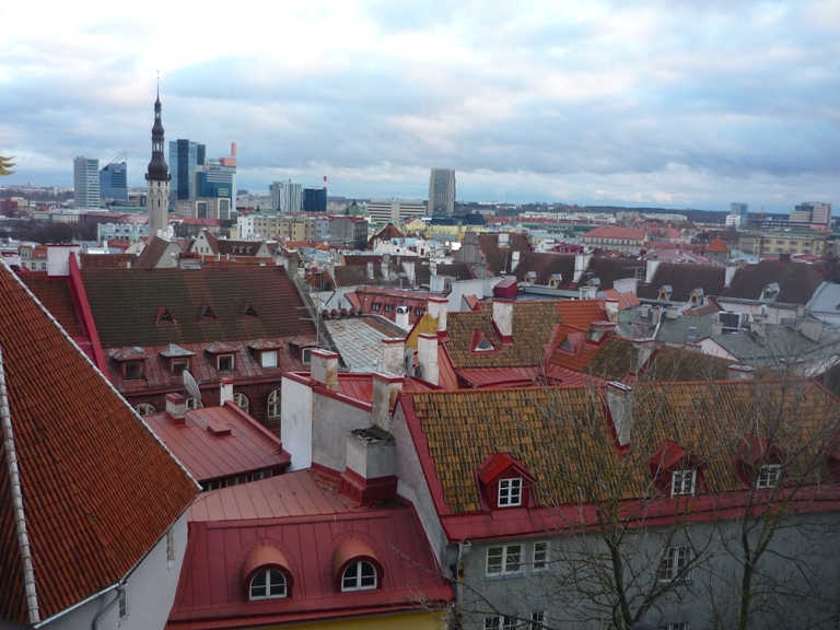 P1050170.JPG