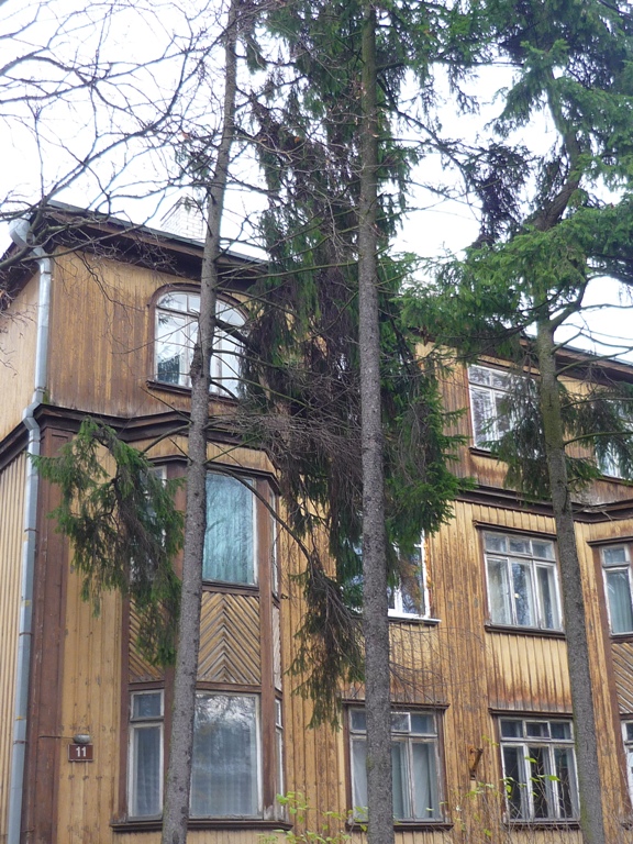 P1050263.JPG