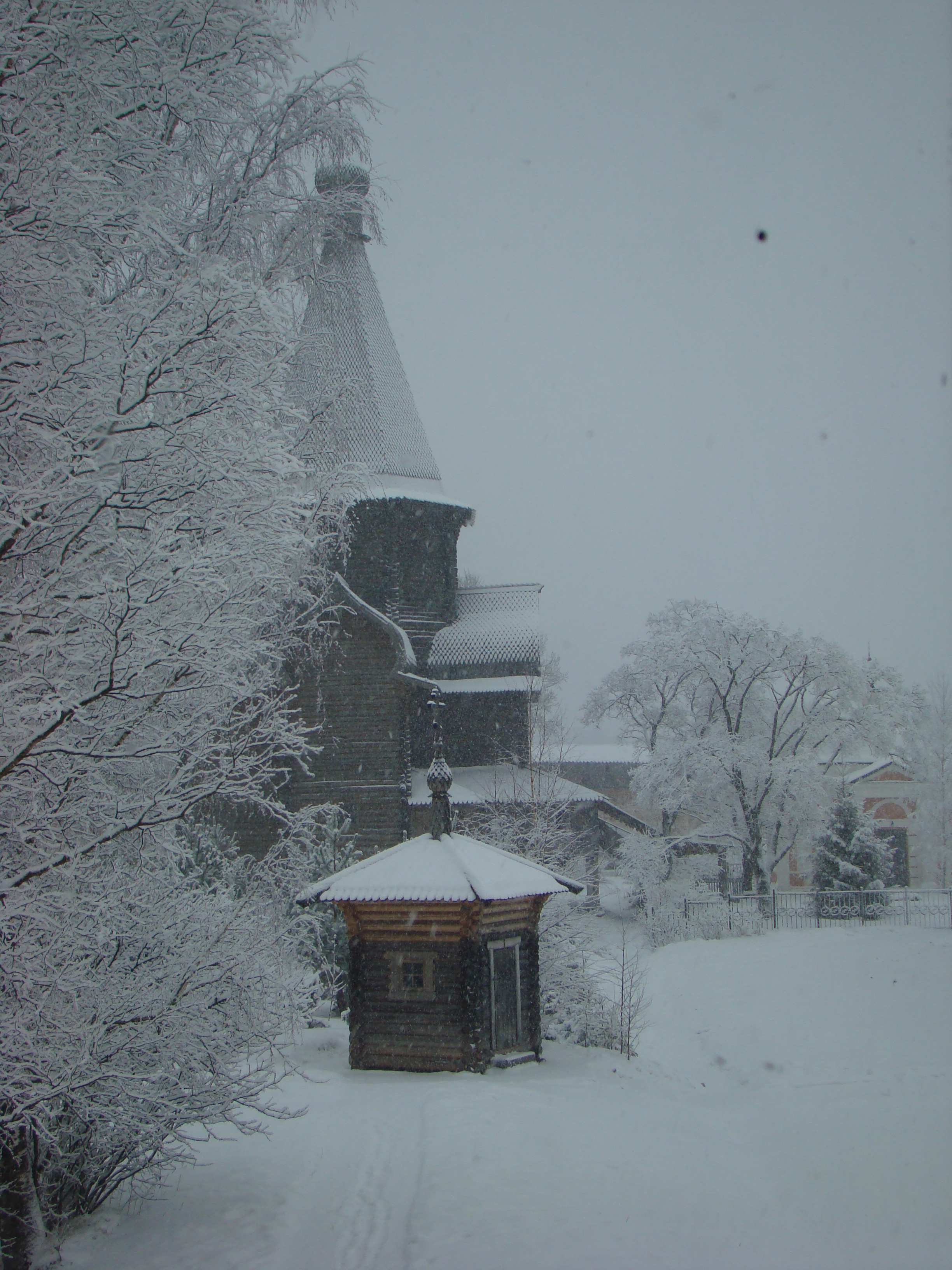 DSC00185.JPG